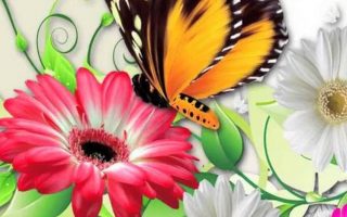 Butterfly Cellphone Wallpaper Resolution 1080x1920