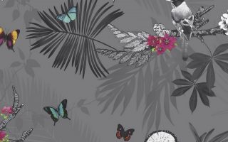 Butterfly Design Wallpaper For Desktop Resolution 1920x1080