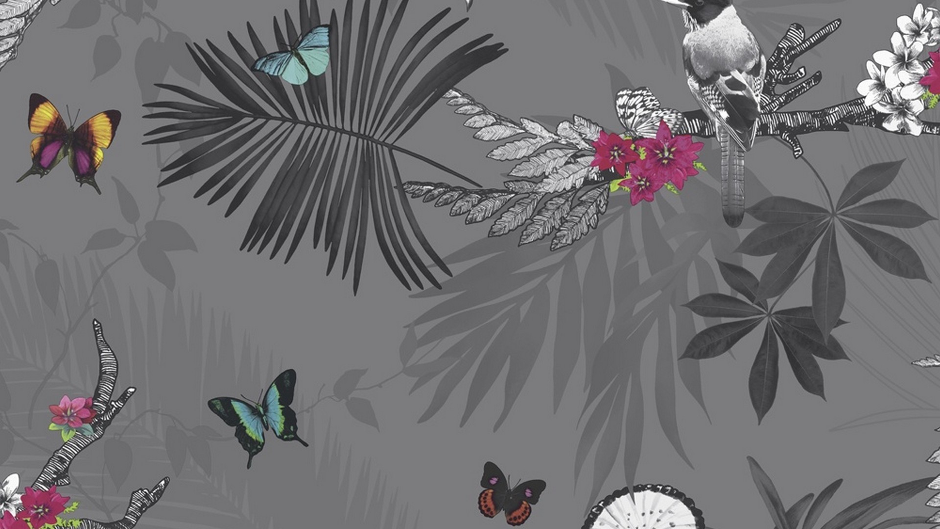 Butterfly Design Wallpaper For Desktop 1920x1080