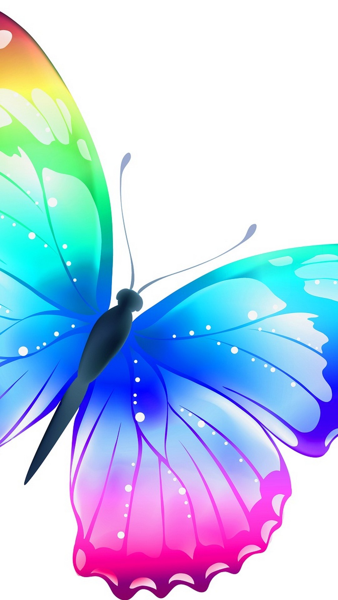 Butterfly Mobile Wallpaper HD Resolution 1080x1920