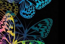 Butterfly Wallpaper For Mobile Android