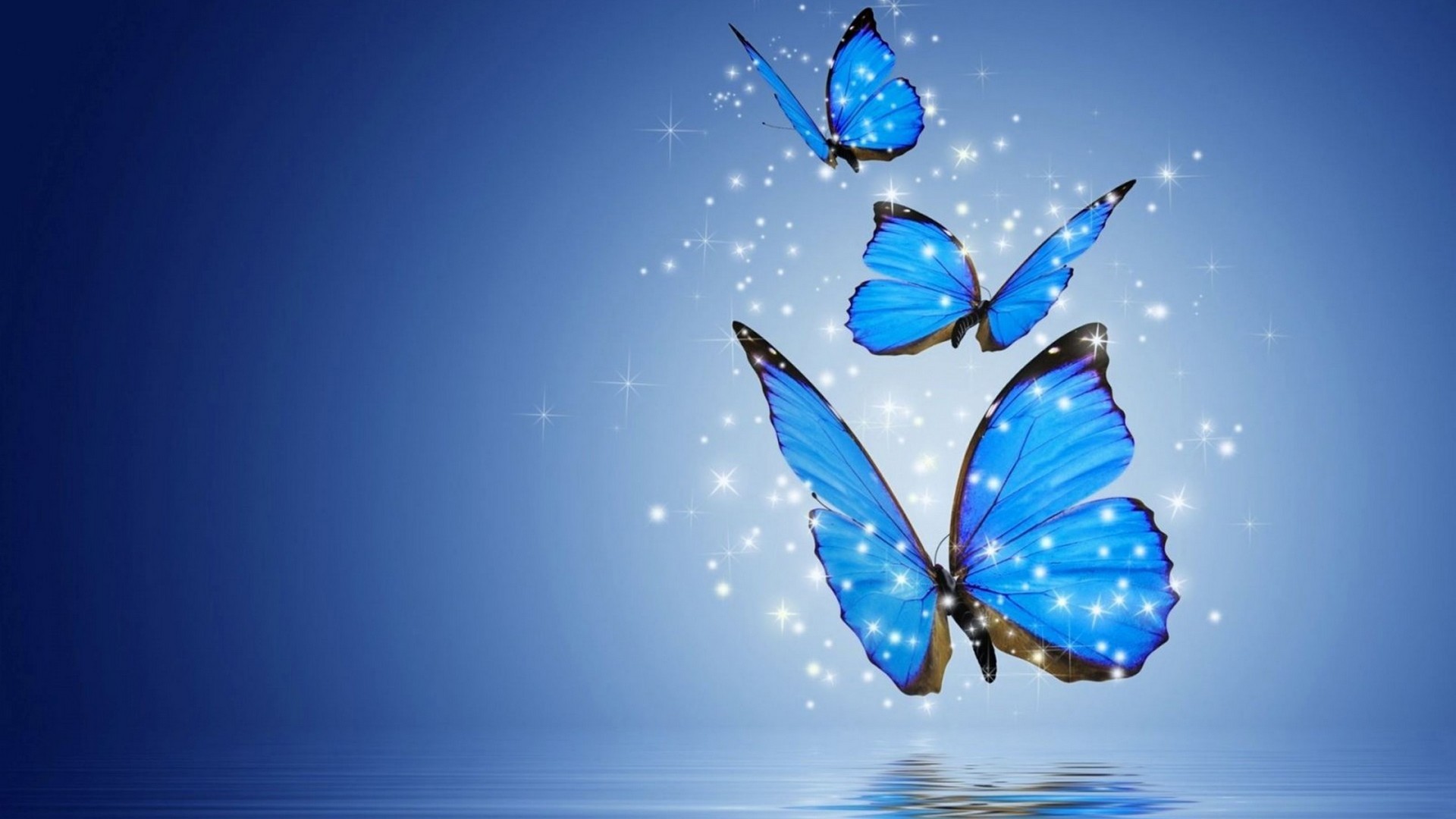 Computer Wallpapers Blue Butterfly Resolution 1920x1080