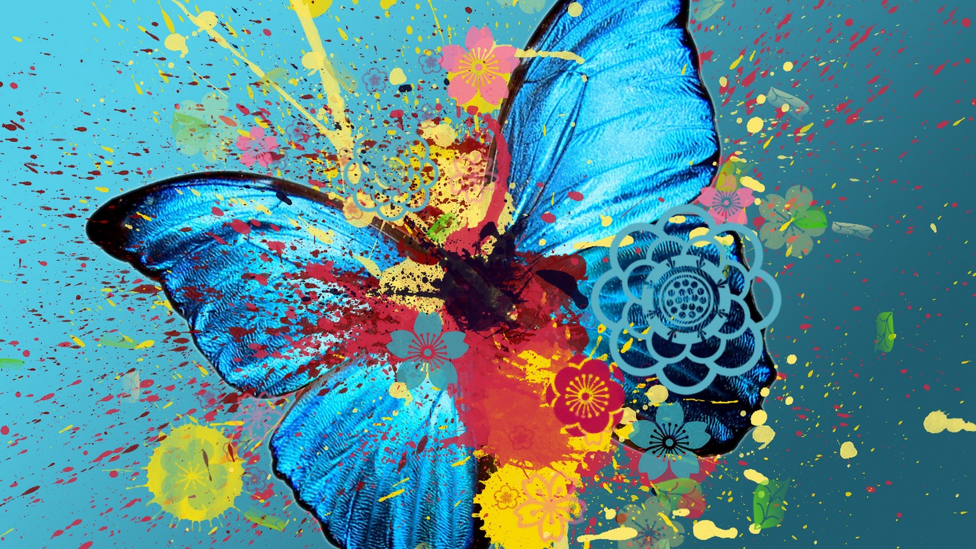 Computer Wallpapers Butterfly 1920x1080