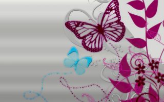 Computer Wallpapers Pink Butterfly Resolution 1920x1080