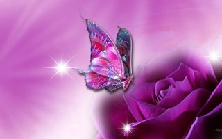 Computer Wallpapers Purple Butterfly Resolution 1920x1080