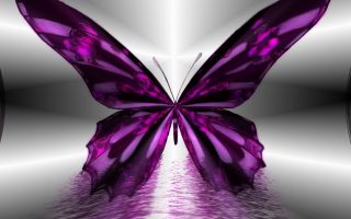 Desktop Wallpaper Purple Butterfly Resolution 1920x1080