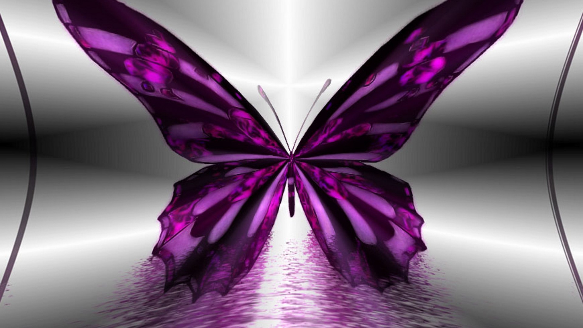 Desktop Wallpaper Purple Butterfly 1920x1080