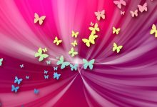 HD Pink Butterfly Backgrounds