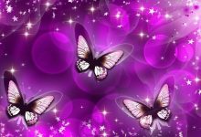 HD Purple Butterfly Backgrounds