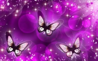 HD Purple Butterfly Backgrounds Resolution 1920x1080