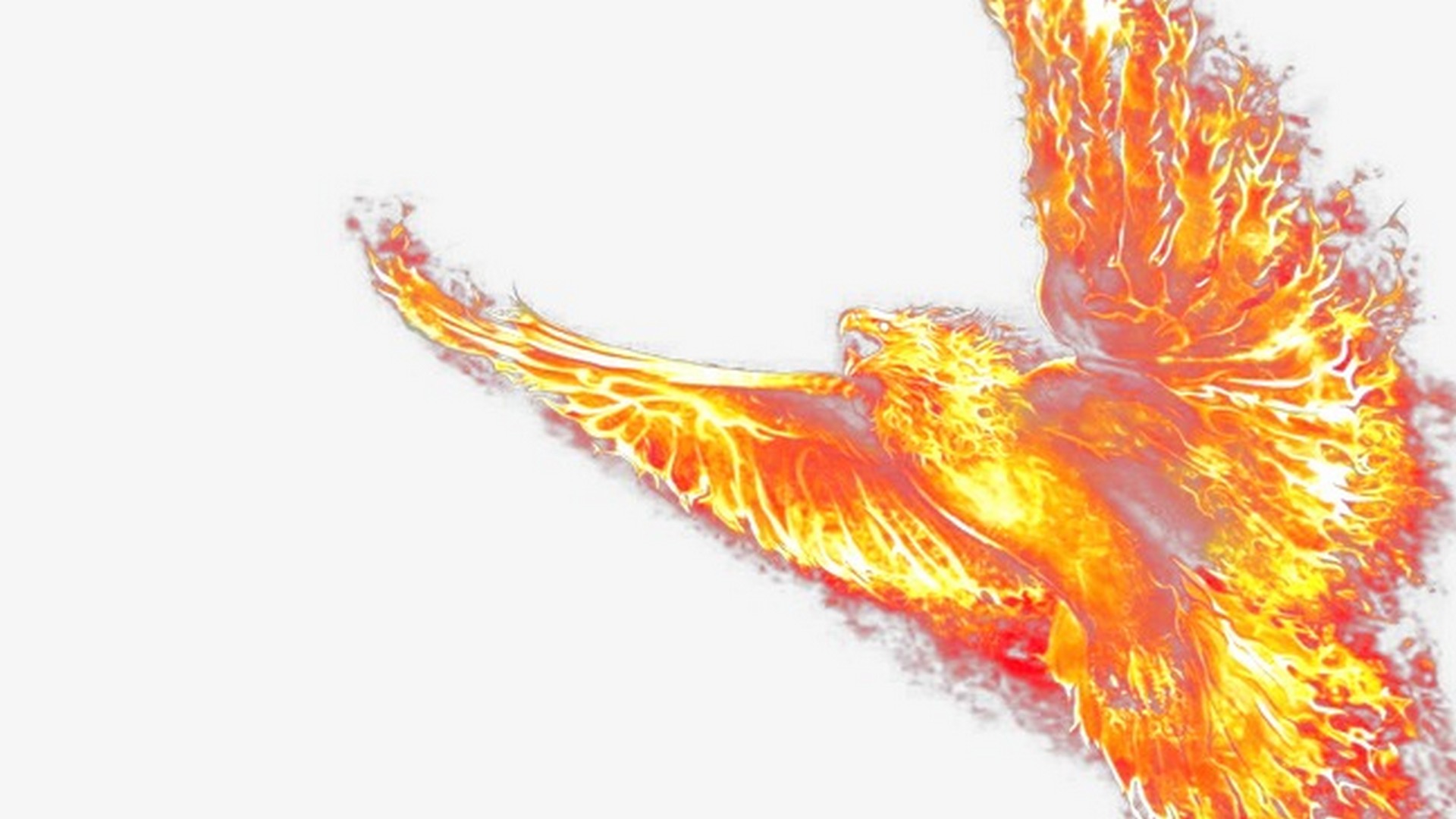Phoenix Images Wallpaper For Desktop with image resolution 1920x1080 pixel. You can use this wallpaper as background for your desktop Computer Screensavers, Android or iPhone smartphones