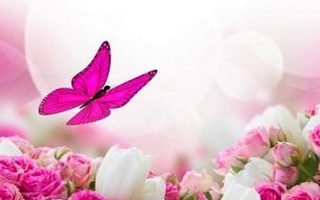 Pink Butterfly Background For Android Resolution 1080x1920