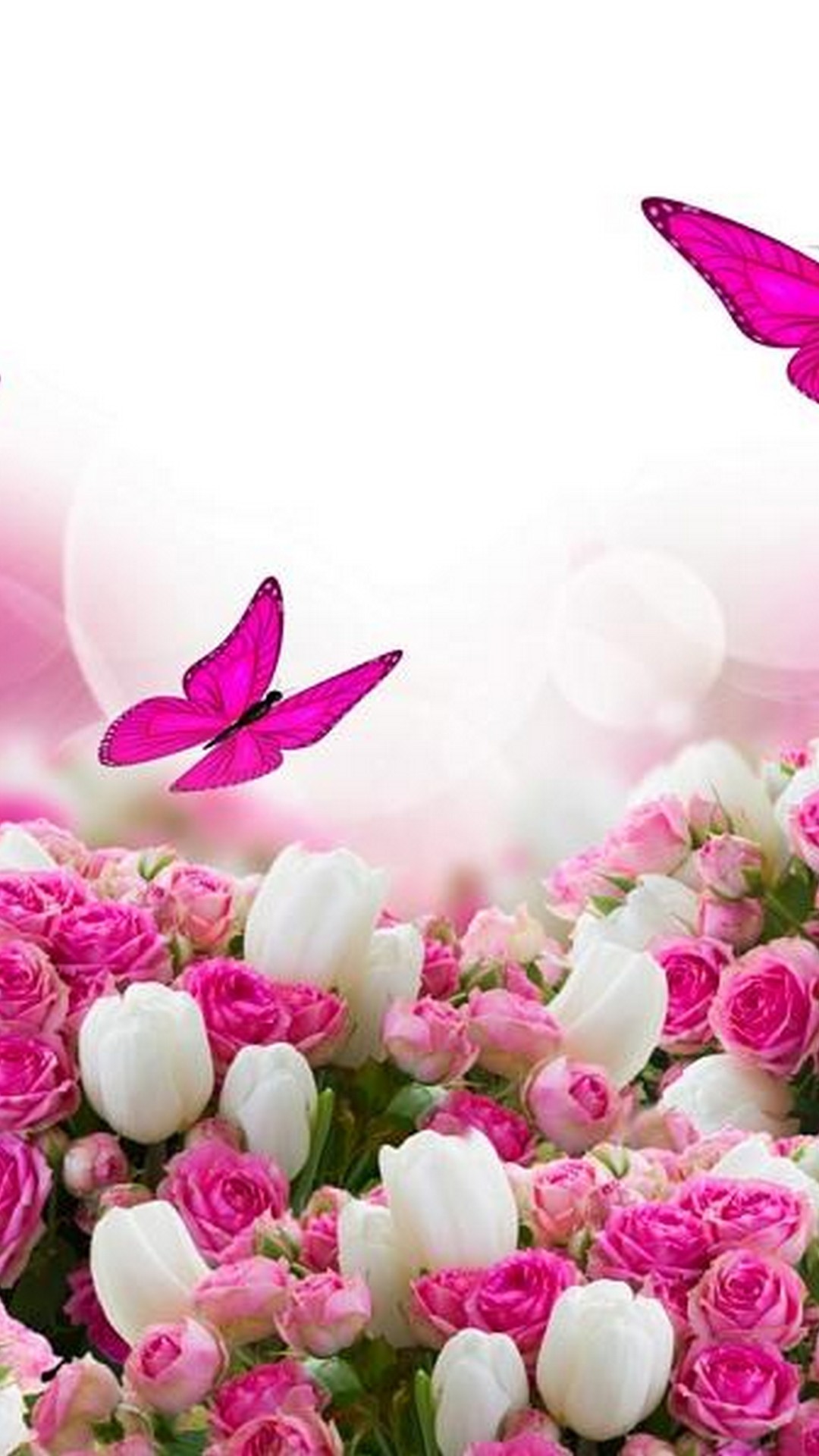 Pink Butterfly Background For Android Resolution 1080x1920