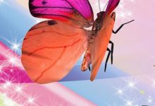 Pink Butterfly Cellphone Wallpaper