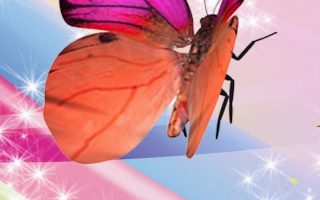 Pink Butterfly Cellphone Wallpaper Resolution 1080x1920