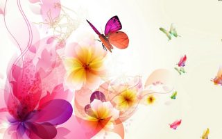Pink Butterfly Desktop Backgrounds HD Resolution 1920x1080