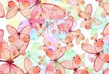 Pink Butterfly HD Wallpapers For Mobile