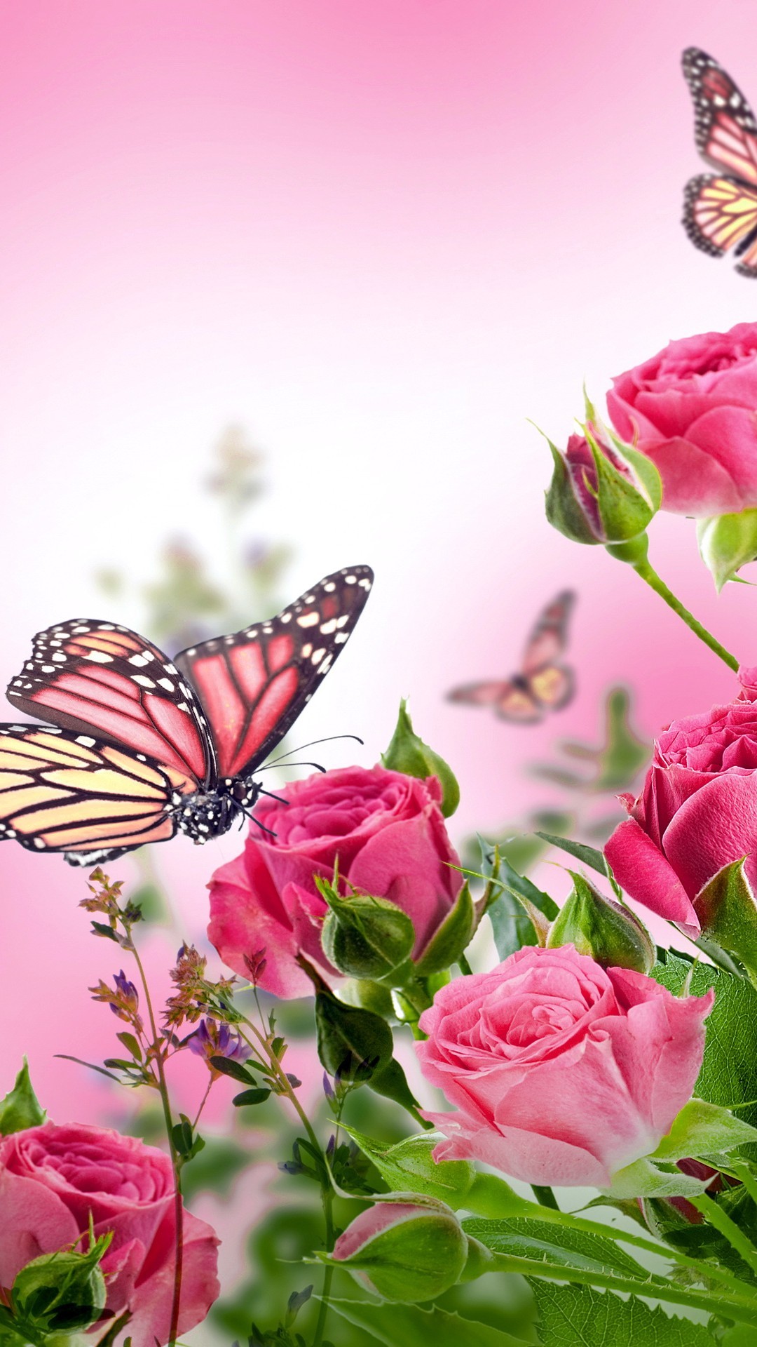 Pink Butterfly Mobile Wallpaper HD Resolution 1080x1920