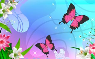 Pink Butterfly Wallpaper Resolution 1920x1080