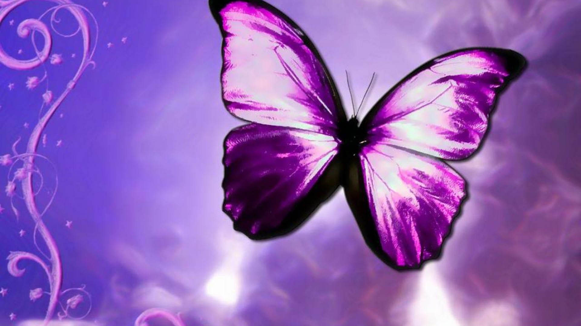Purple Butterfly Desktop Backgrounds HD Resolution 1920x1080