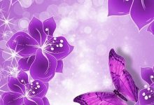 Purple Butterfly HD Wallpapers For Mobile