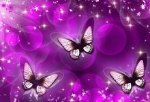 Purple Butterfly Wallpaper For Desktop