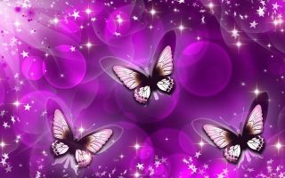 Purple Butterfly Wallpaper For Desktop Resolution 1920x1080
