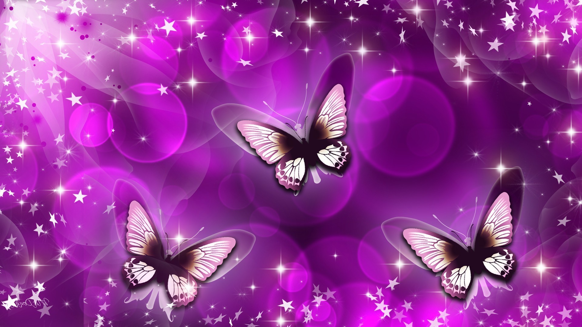 Purple Butterfly Wallpaper For Desktop 1920x1080