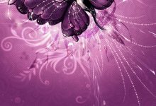 Purple Butterfly Wallpaper For Mobile Android