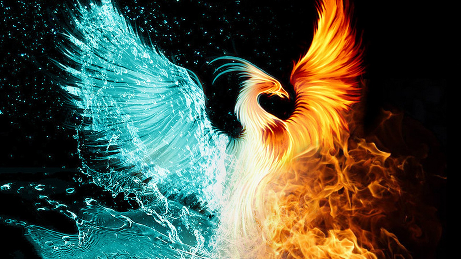 Wallpaper Phoenix Bird with image resolution 1920x1080 pixel. You can use this wallpaper as background for your desktop Computer Screensavers, Android or iPhone smartphones