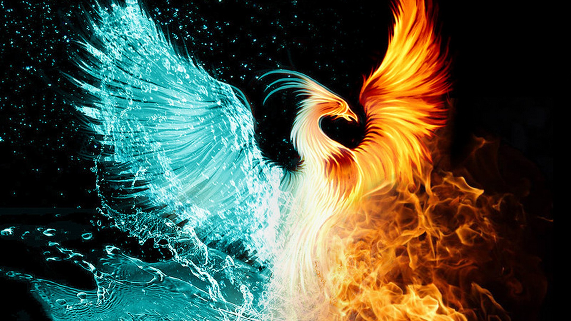 Phoenix iPhone Wallpaper Wallpaper Phoenix Bird 2020 Cute Wallpapers 