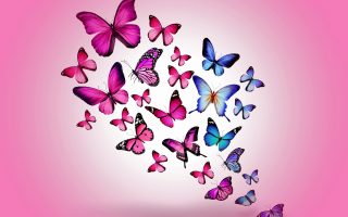 Wallpaper Pink Butterfly Resolution 1920x1080