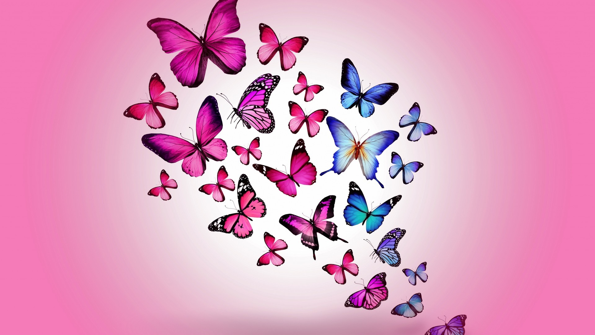 Wallpaper Pink Butterfly Resolution 1920x1080