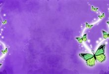 Wallpaper Purple Butterfly