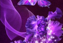 Wallpaper Purple Butterfly Mobile
