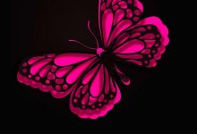 iPhone Wallpaper HD Pink Butterfly