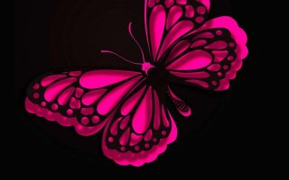 iPhone Wallpaper HD Pink Butterfly Resolution 1080x1920