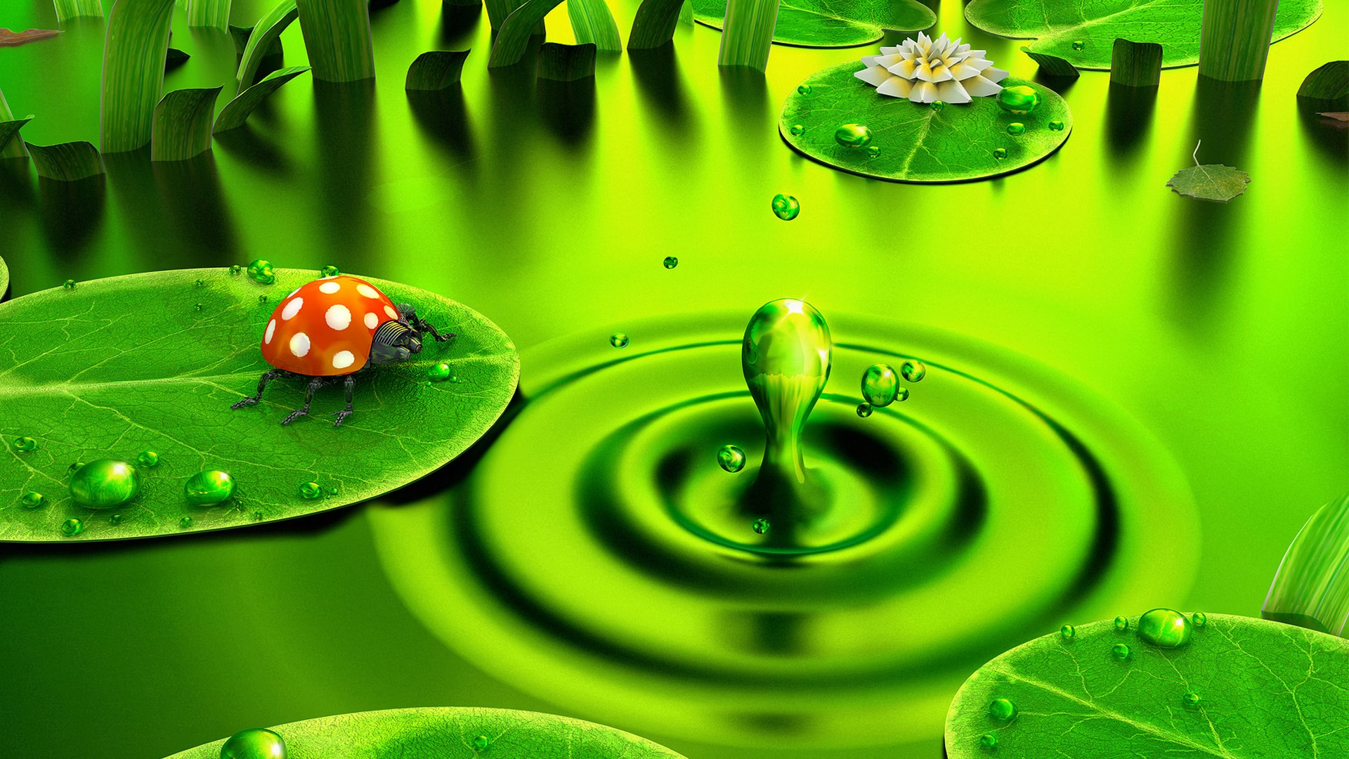 Computer Wallpapers  Green  2021 Cute  Wallpapers 