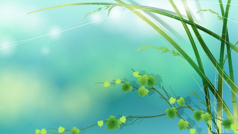 Emerald Green Wallpaper ~ Cute Wallpapers 2022