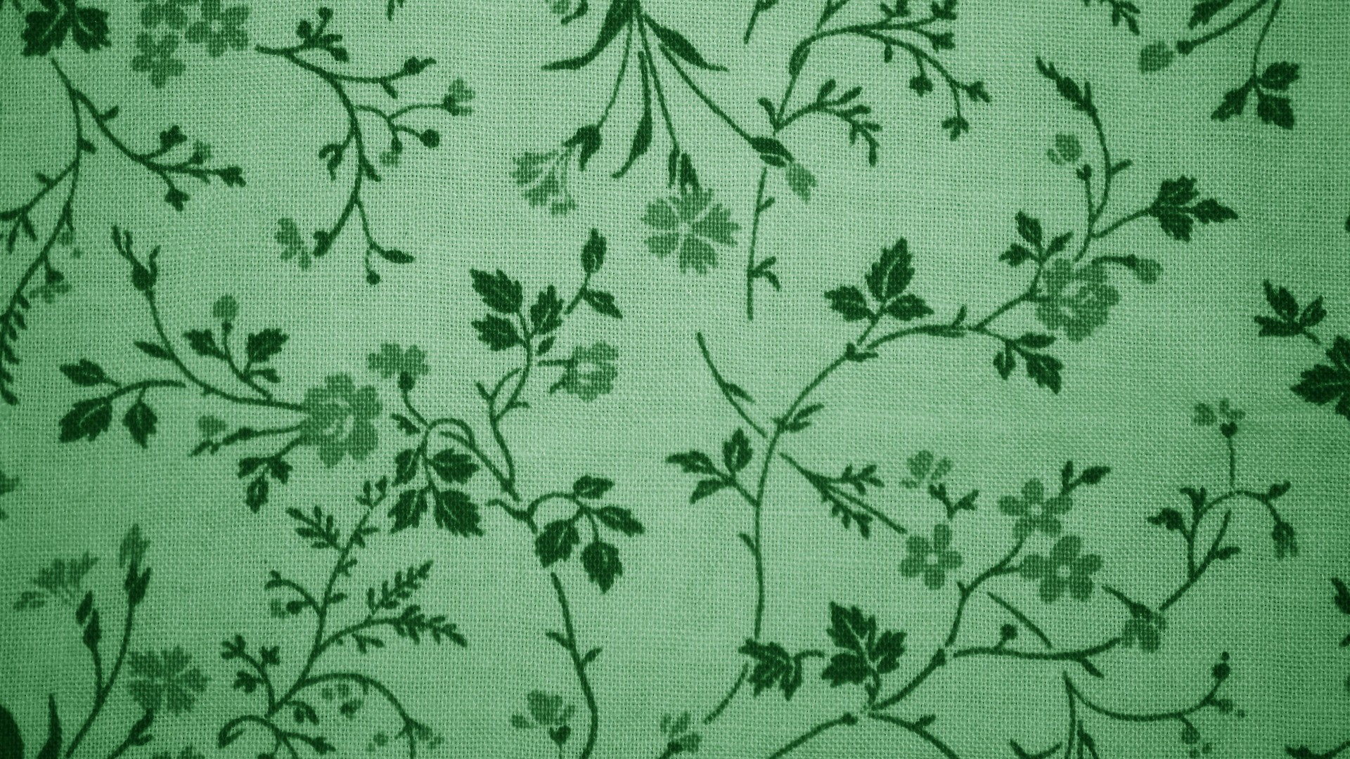 Green Colour Wallpaper with resolution 1920X1080 pixel. You can use this wallpaper as background for your desktop Computer Screensavers, Android or iPhone smartphones
