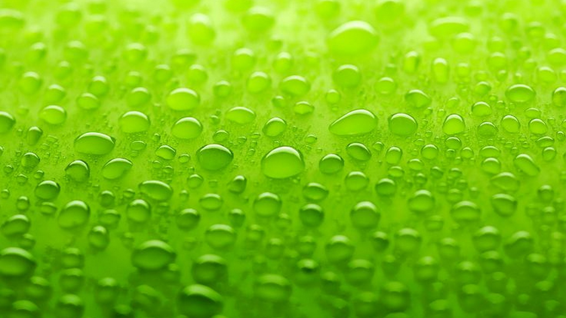 HD Lime Green Backgrounds with resolution 1920X1080 pixel. You can use this wallpaper as background for your desktop Computer Screensavers, Android or iPhone smartphones