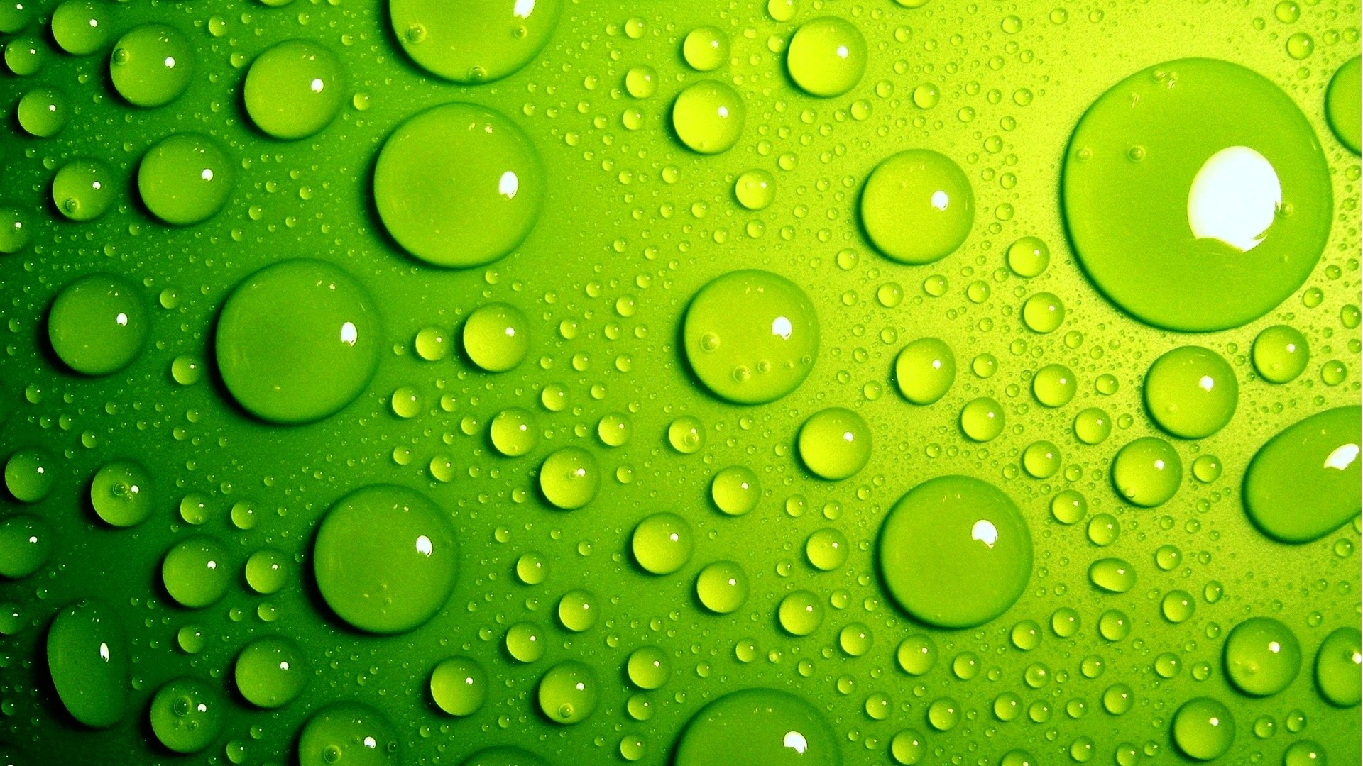 Light Green Wallpaper with image resolution 1920x1080 pixel. You can use this wallpaper as background for your desktop Computer Screensavers, Android or iPhone smartphones