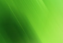 Lime Green Desktop Backgrounds HD