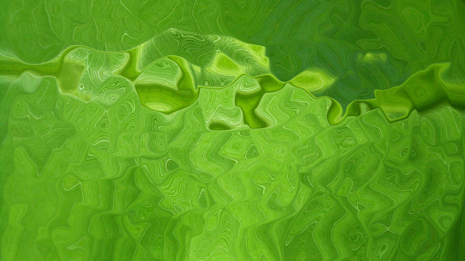 Wallpaper Green Colour Desktop with resolution 1920X1080 pixel. You can use this wallpaper as background for your desktop Computer Screensavers, Android or iPhone smartphones