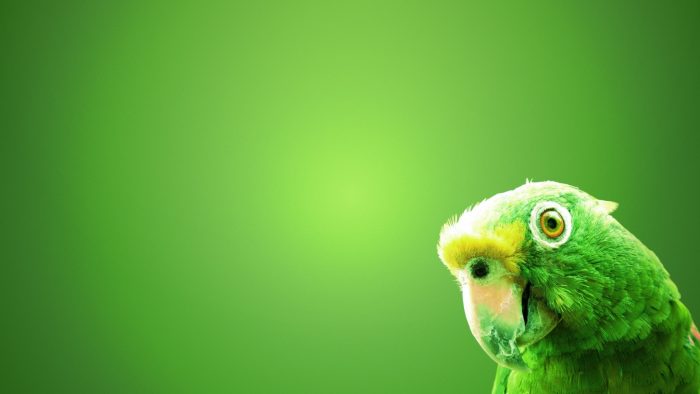 Wallpaper Green Desktop ~ Cute Wallpapers 2022