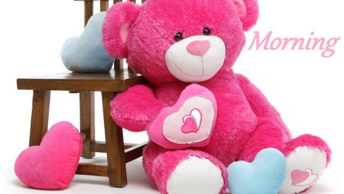best teddy bear website