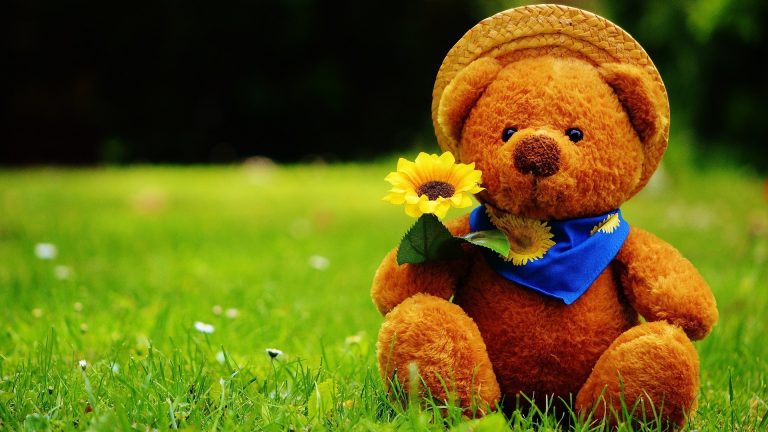 big teddy bear photos download