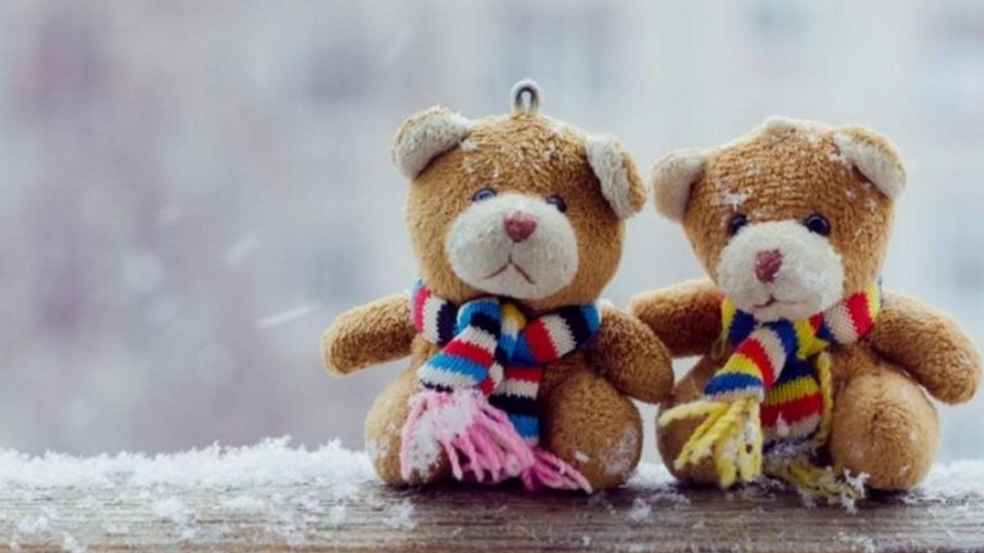 Desktop Wallpaper  Cute  Teddy  Bear  2021 Cute  Wallpapers 