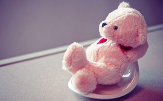 HD Cute Teddy Bear Backgrounds with resolution 1920X1080 pixel. You can use this wallpaper as background for your desktop Computer Screensavers, Android or iPhone smartphones