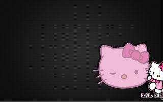 Kitty Wallpaper with resolution 1920X1080 pixel. You can use this wallpaper as background for your desktop Computer Screensavers, Android or iPhone smartphones